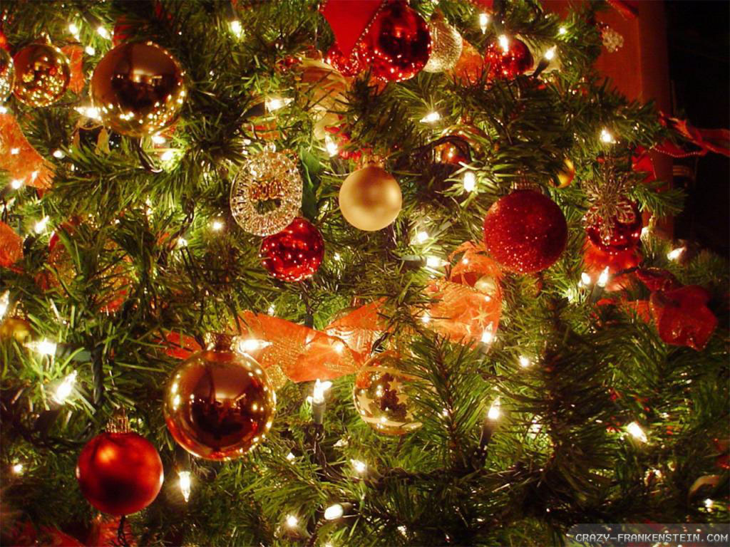 Perche I Cristiani Festeggiano Il Natale Il 25 Dicembre.Ma In Tunisia Si Festeggia Il Natale Envi Info