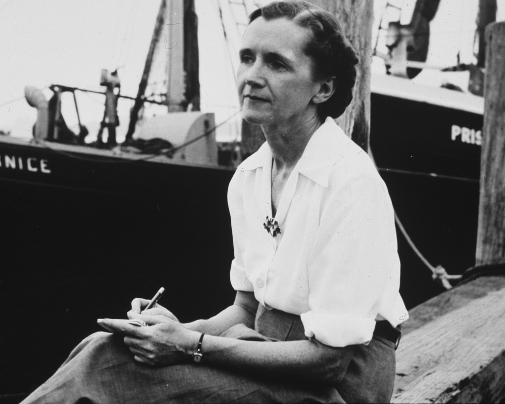 rachel carson