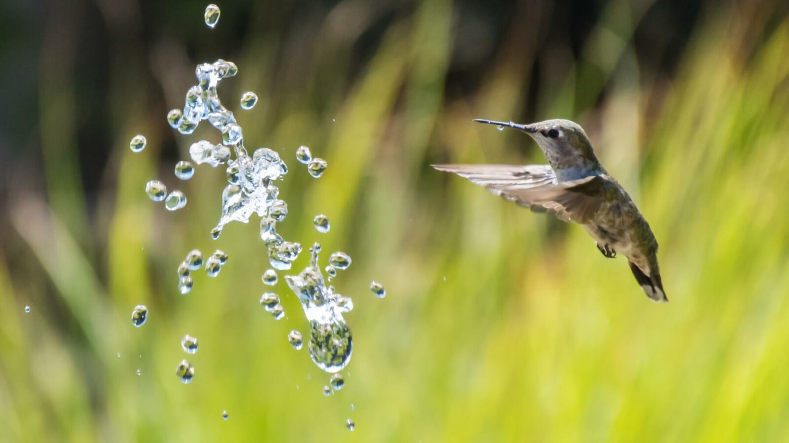 World Water Day – Comunicare l’acqua nel 2023