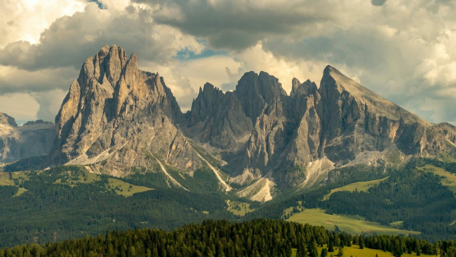 La Biblioteca della biodiversità, nuovo valore alla natura in Italia