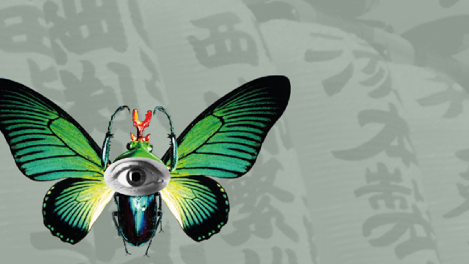 NBFC at Expo 2025: Bridging Biodiversity, Nutrition, and Health