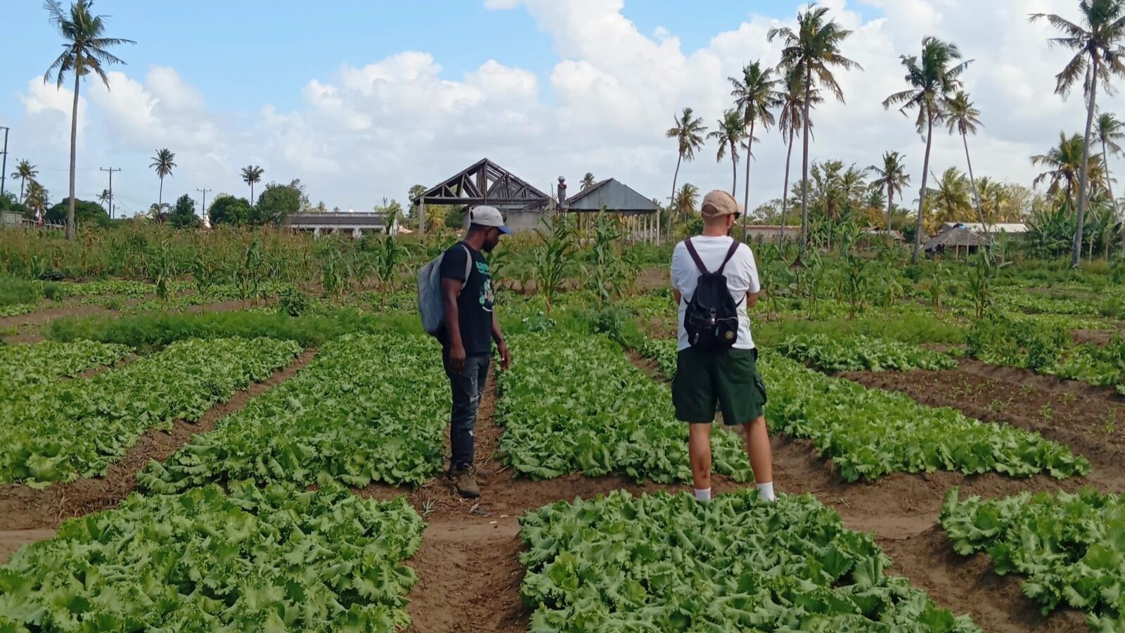 Ethaka: un progetto di agricoltura sostenibile