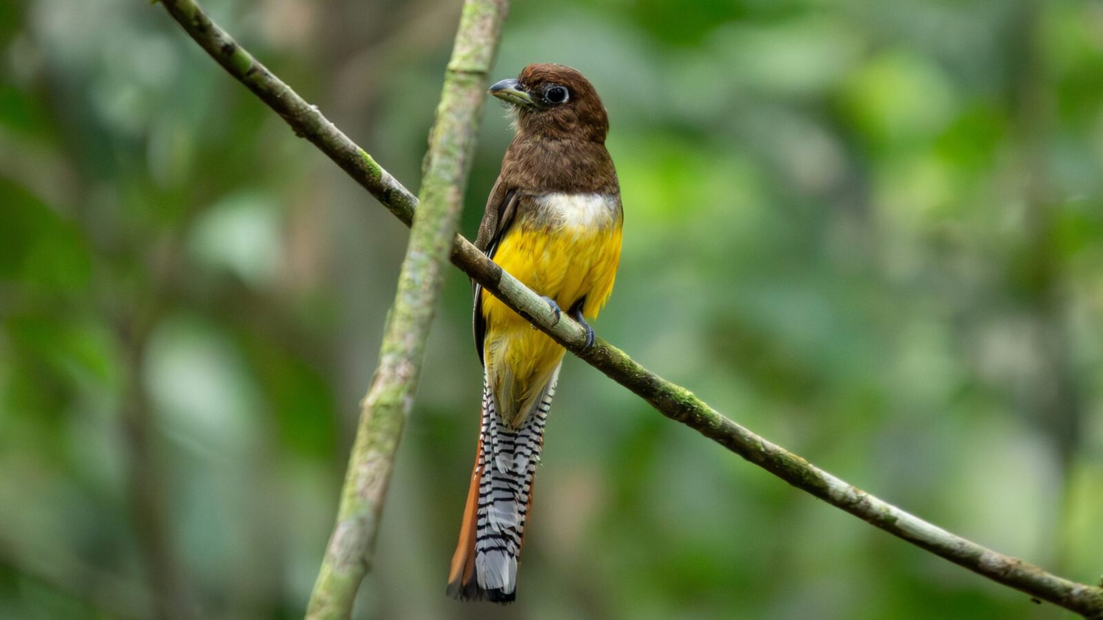 La comunicazione ambientale al centro del LIFE Programme 2024