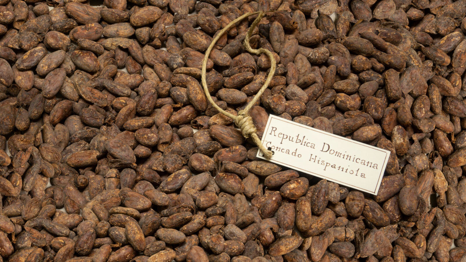 Cacao, ambiente e comunità nella Repubblica Dominicana