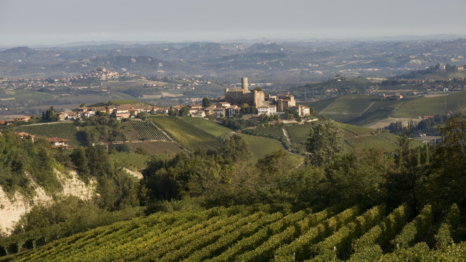 Vietti, la cantina custode di sostenibilità e autenticità