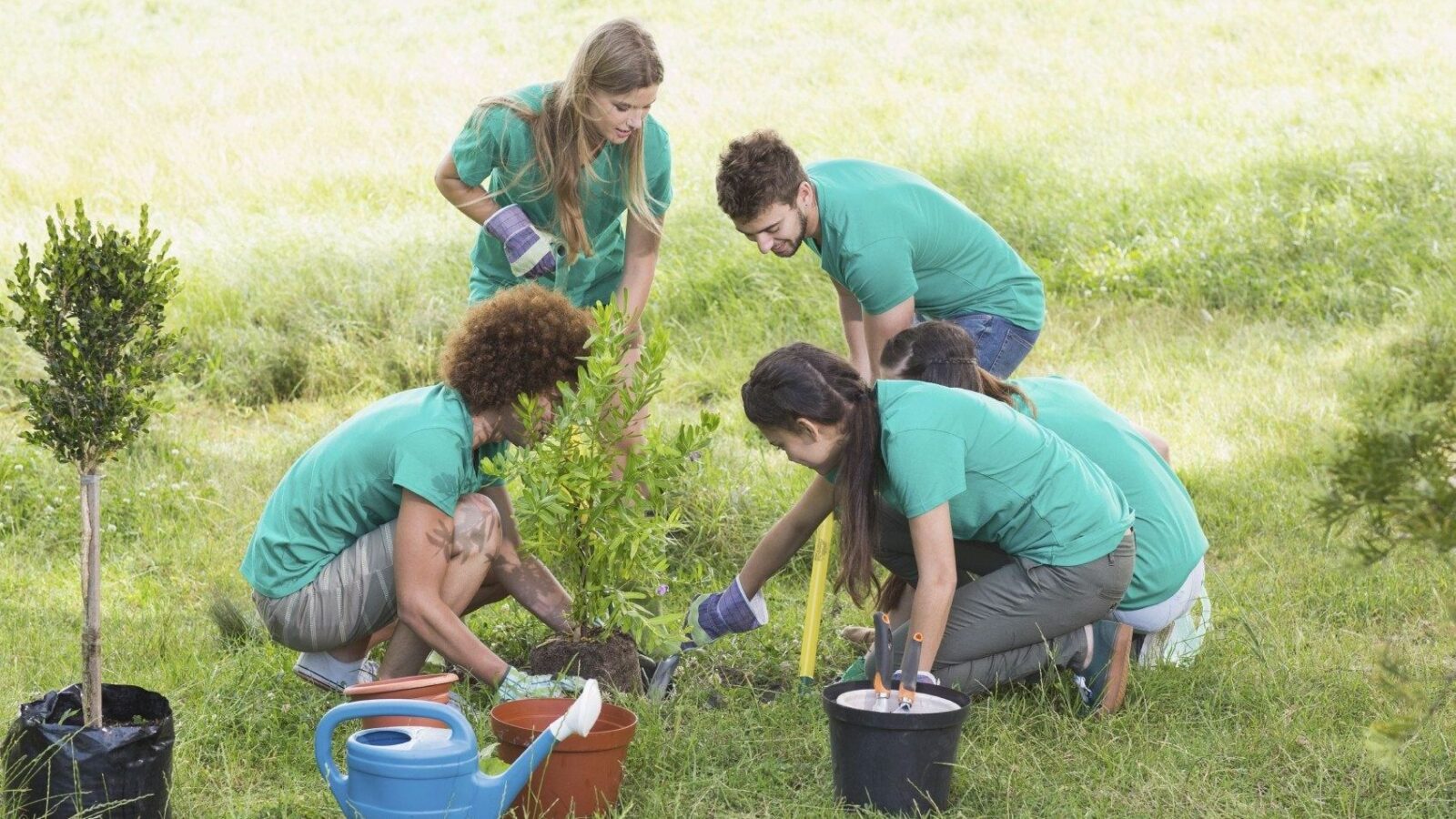 Una rete di Community Garden per la transizione agroecologica