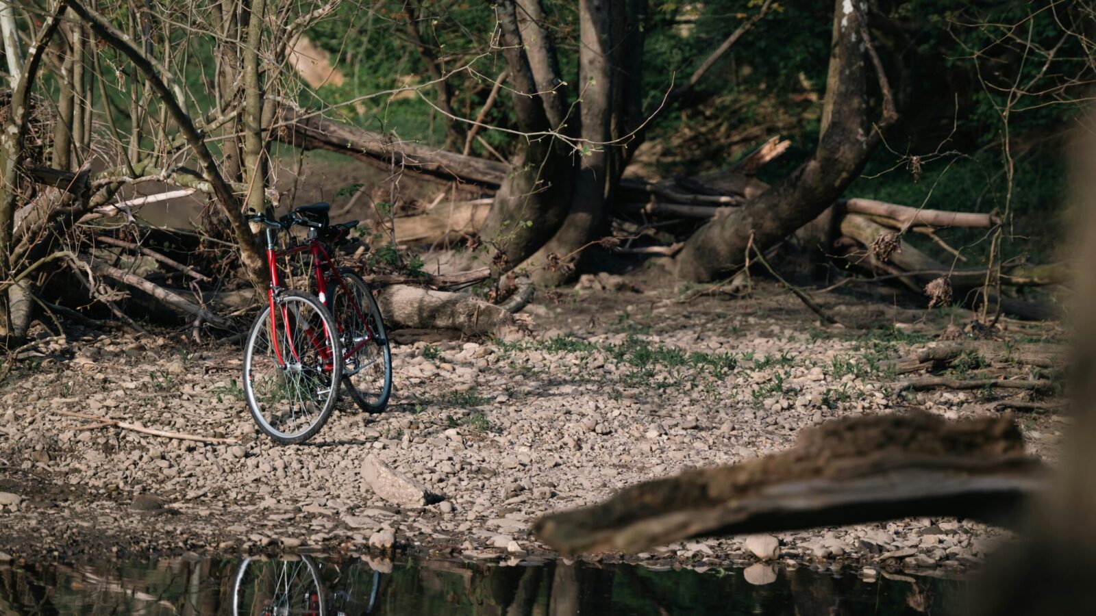 Storie di persone, territori e biodiversità attraverso i siti Natura 2000