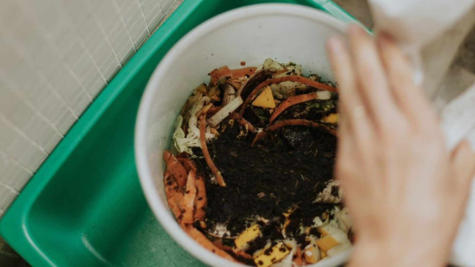 AllIAnce-Eco: da Mondovì la sfida dell’AI per la gestione dell’organico