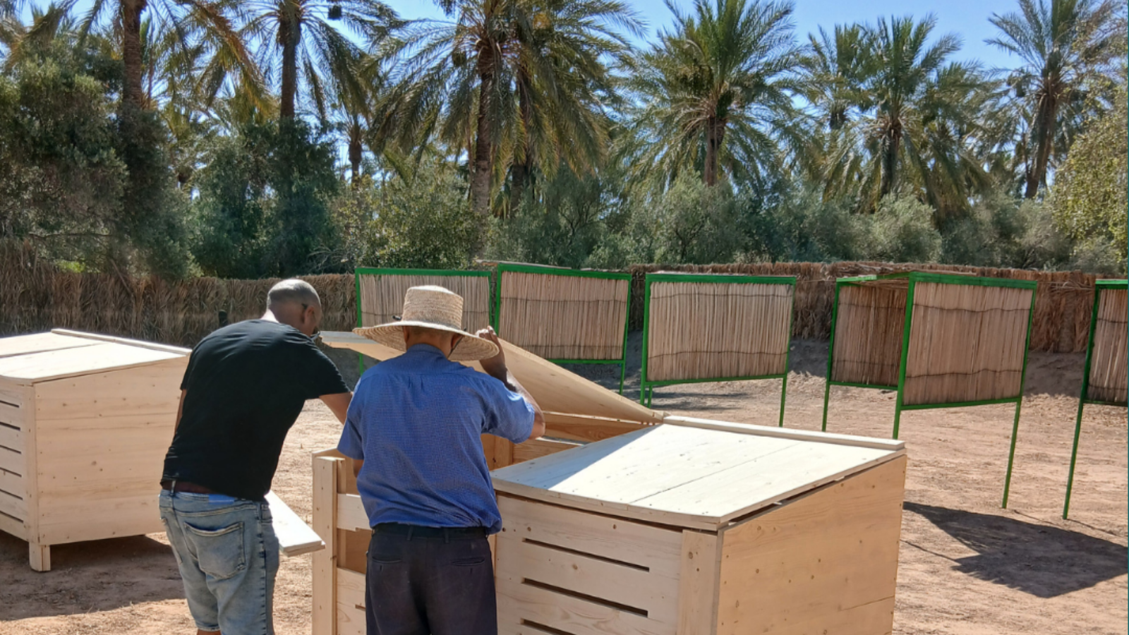 Oasis Durables: la risorsa organica mitiga la desertificazione