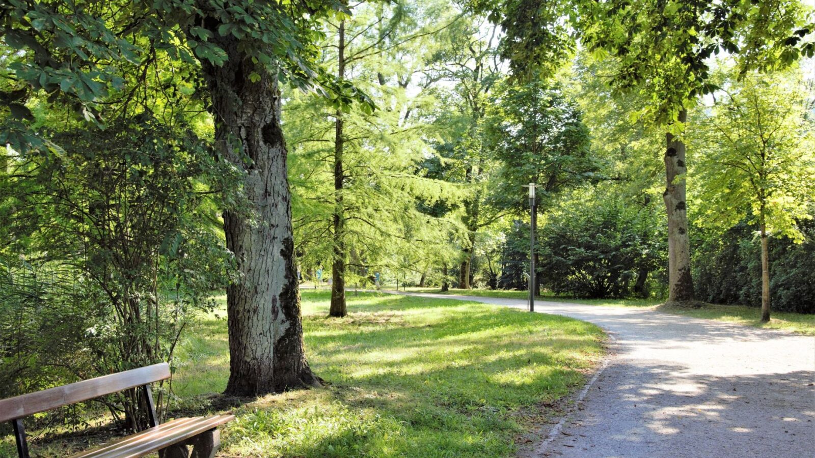 Urban Nature 2026: La Natura si fa Cura in oltre 100 piazze italiane